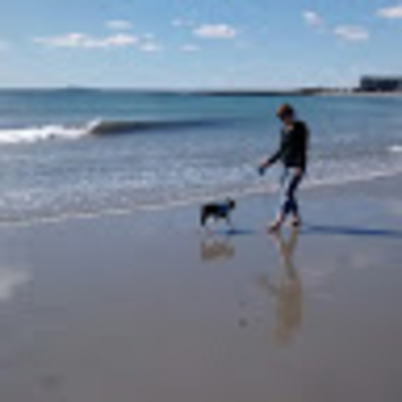 Meet your Posher, Shell - Picture 1 of 1